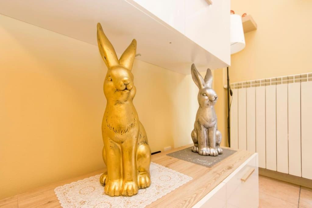 Star Suite, Malpensa - Rho Fiera Milano 15 Min Legnano Eksteriør bilde
